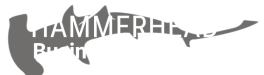 Hammerhead Business Solutions Business Development Logo